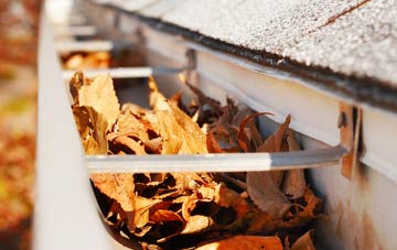 Northover gutter cleaning companies